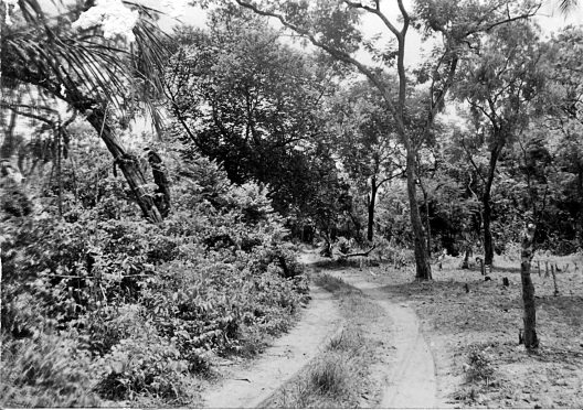 Trilho de Aldeia Formosa a Paté Embaló, Julho de 1969